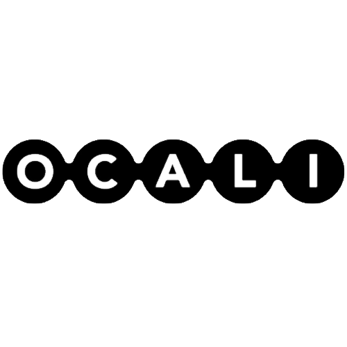 Development Partner, Ohio Center for Autism and Low Incidence (OCALI)